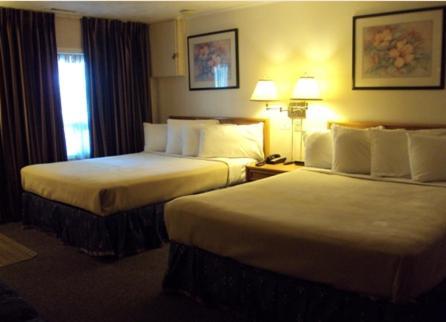 Twin Peaks Motel Napanee Dış mekan fotoğraf
